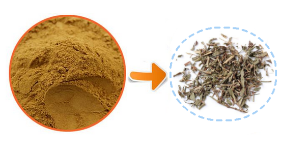 Polygonum Aviculare Extract.png